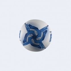 Ballon de rugby Premium D